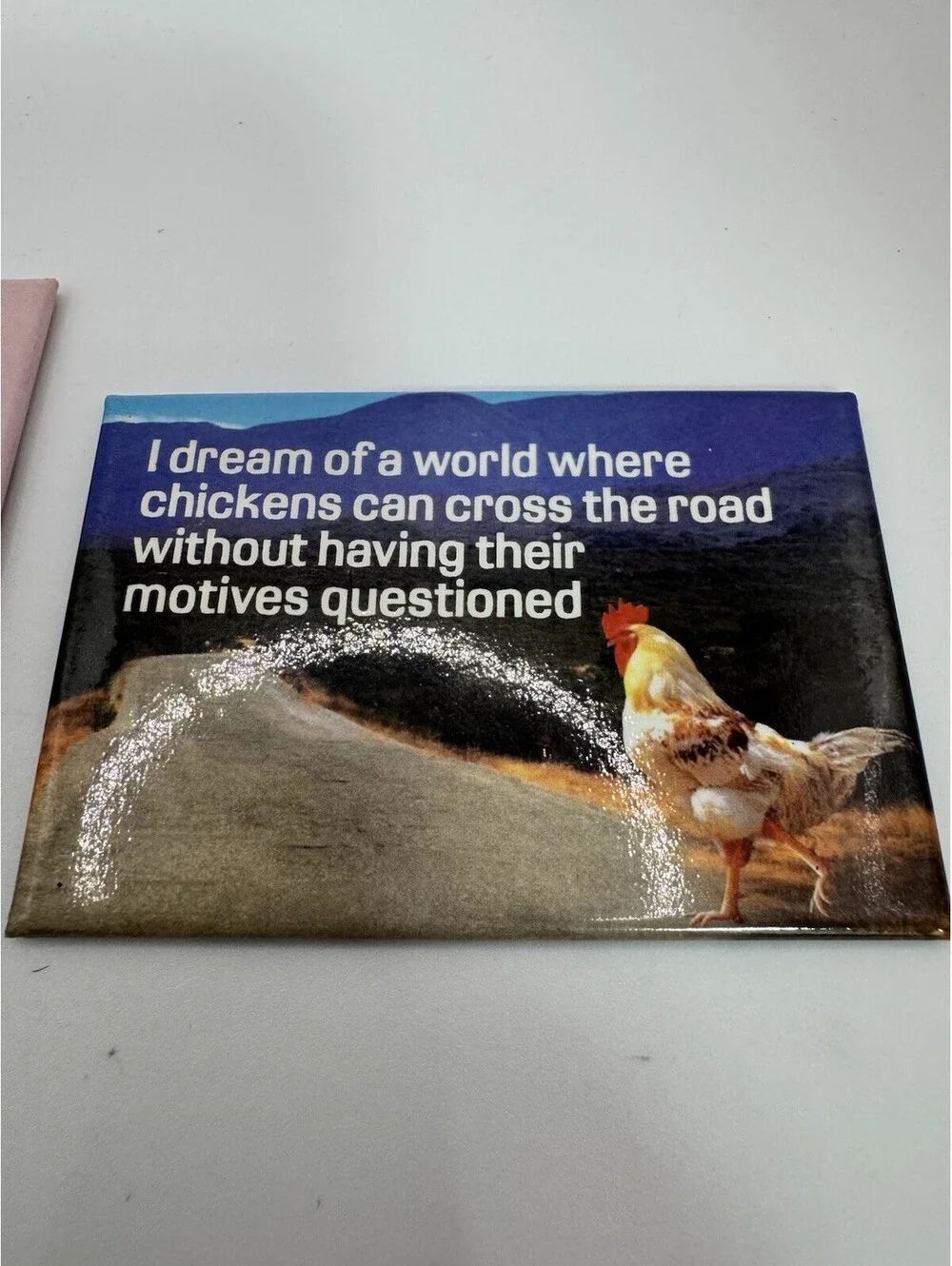 2 Novelty “chicken” Magnets - Chicks Rule